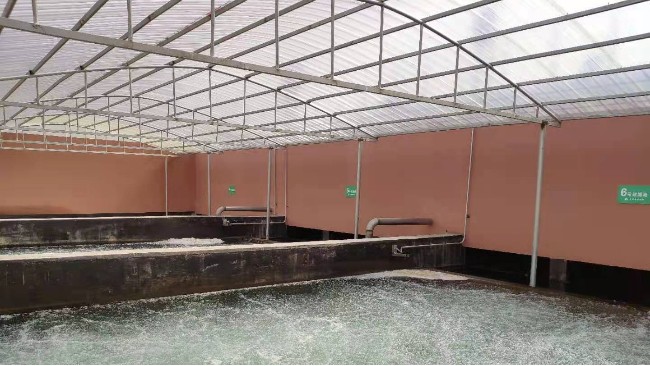澳门沙金COD、氨氮及总磷分析仪应用于江西农村污水厂水质的监测
